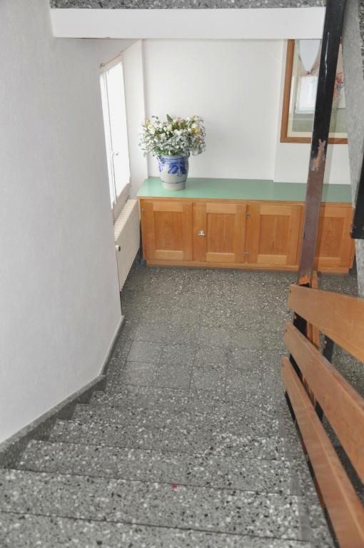 Chalet Speciale - Celerina
