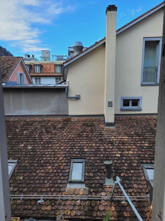 Zunfthaus zur Rebleuten