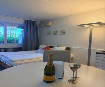 Holiday on The Lake Lugano 2