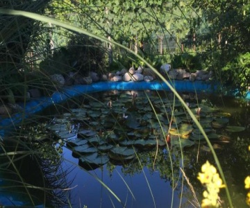 Casa In Königs Garten