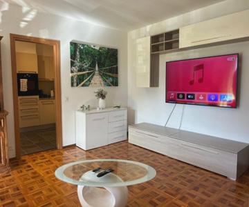 Melide Lake Apartment