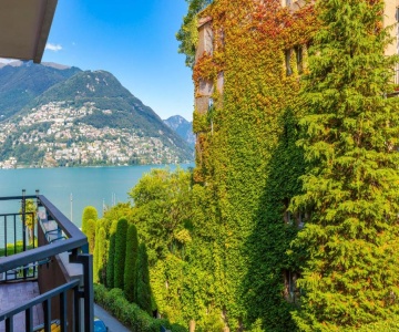 Coloratura - Happy Rentals