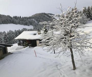 Chalet Lys Apartment 14 Rue Sigma