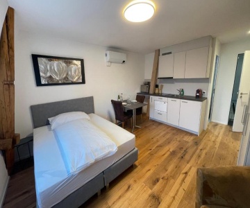 Schnyder's Home Studio_2