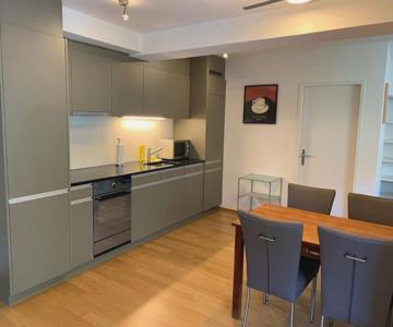 Nice And Big 1br Flat In The City Center - West 5