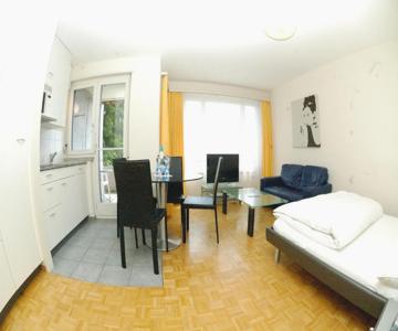 Nice Studio With View Over The City - Vineyard 52