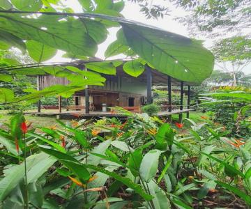 Amazona Lodge