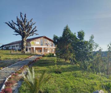 Paraque International De Arte