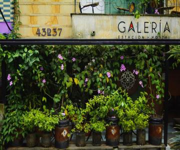 Galeria Estacion Hostel