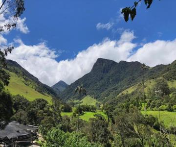 Cabanas Truchas Cocora