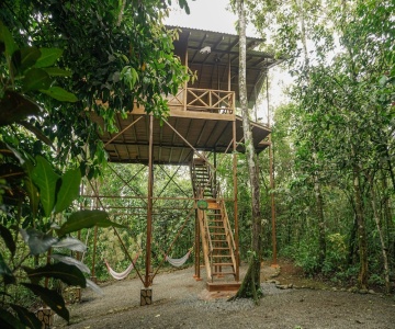 Tree Houses Hotel