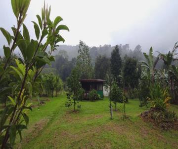 EYA Ecolodge