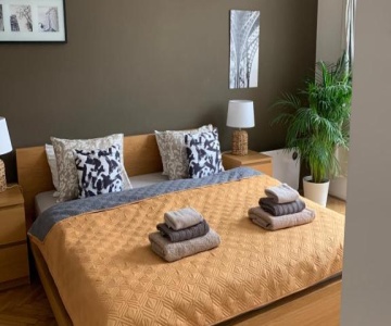 Anenska By Charles Bridge 2