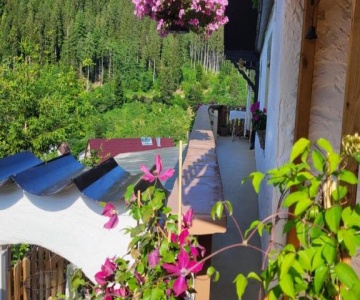 Ferienwohnung Schwarzwaldglück