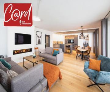 Ferienwohnung Penthouse Feldberg