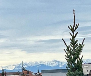 Ferienwohnung Seeliebe