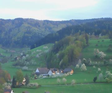 Scharbachhof