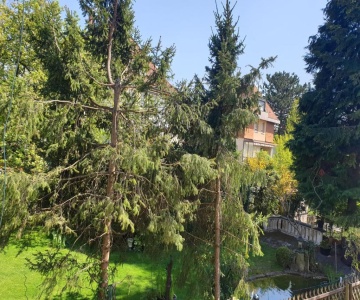 Relax City Apartments