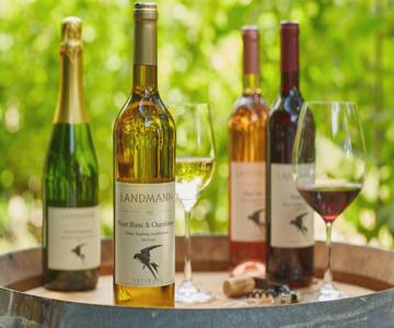 Weingut Landmann Ferienwohnungen