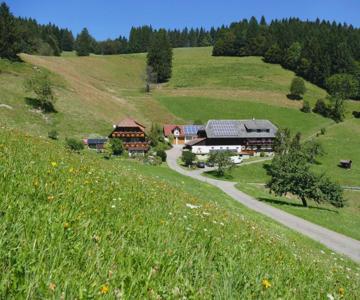 Gipfhof