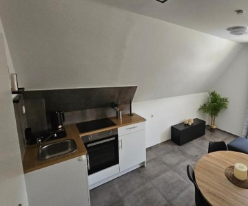 Dg Apartment Mit Neckarblick