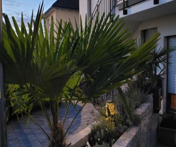 Rana's B&b - Bed&breakfast