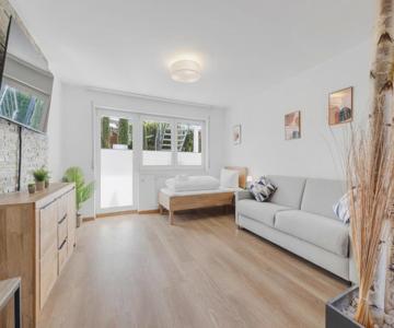 Apartments Münchbach - Near Europa-park And Rulantica