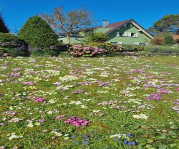 Gadenhaus-für Ferien&business Am Bodensee