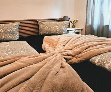 Ferienwohnung Sinsheim