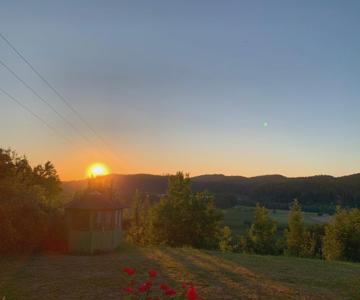 Einzigartiger Panoramablick, Bodensee Und Messe In Der Nähe