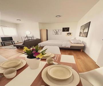 Studio Apartment Albblick