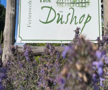 Hof Düshop