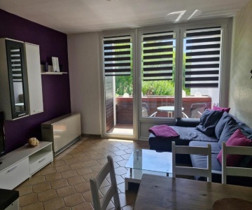 Ferienbutzen Harz Flieder