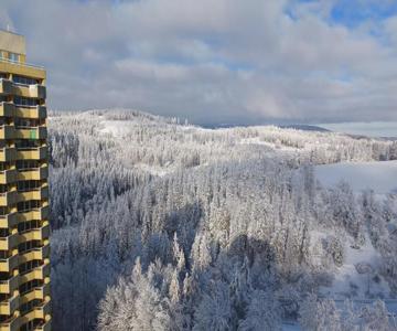 Apartment 350 Mit Brockenblick