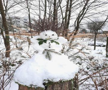 Grossdorf Ferienwohnung Waldsuite Im Harz