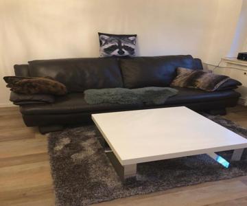 Ferienwohnung Waschbärglück