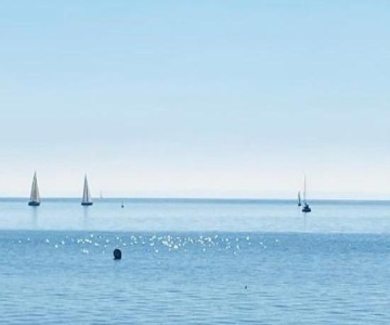 Storchennest Am Dümmer