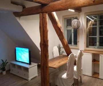 Eulen- & Altstadtnest