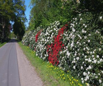 Ferienwohnung Morgensonne