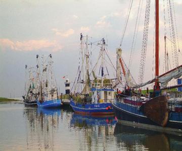 Die Ferienwohnung Direkt Am Meer