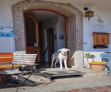 Pension Maria