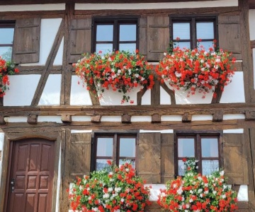 Ferienwohnung Hiemer