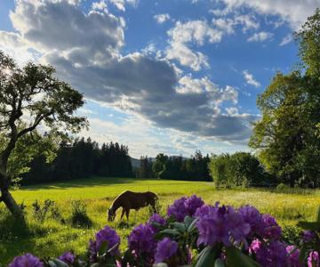 Ferienhaus Zopfhäusl