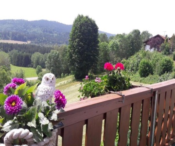 Ferienwohnung-panoramablick-4