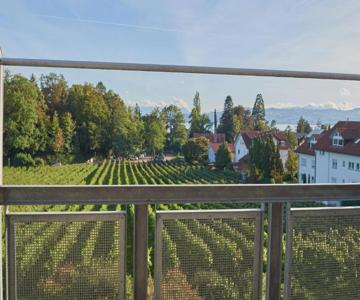 Ferienwohnungen Weingut Deufel