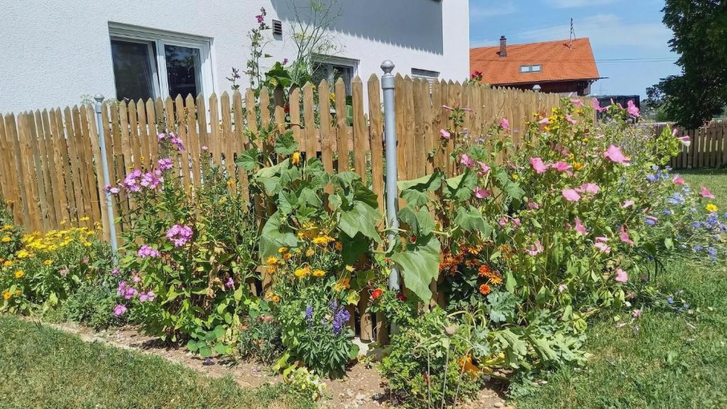 Ferienwohnungen beim Sommermader - inklusive Königscard