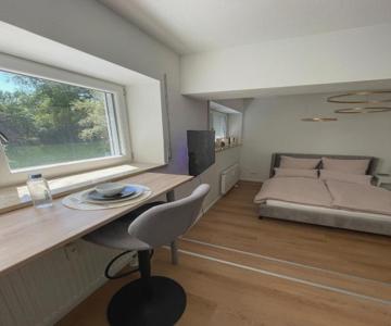 Cozy Studio Apartment