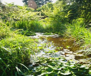 Hotel Käferstein Garni