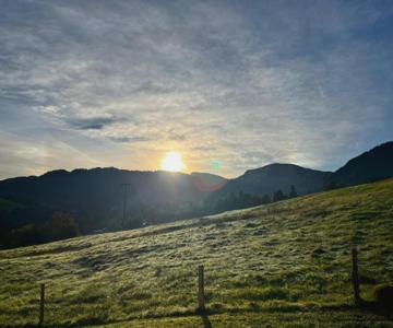 Studio Apartment Hochgratflair