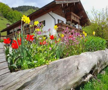 Haus Mayringerlehen